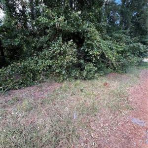 Photo #4 of 1100 Vass, Spring Lake, NC 0.3 acres