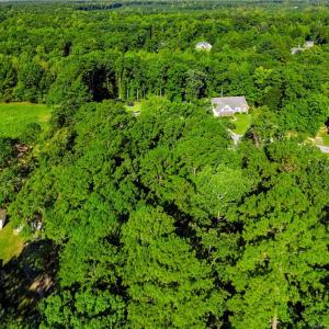 Photo #4 of tbd Panners, Sanford, NC 0.9 acres
