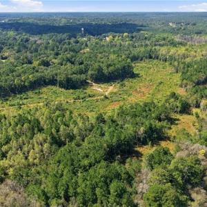 Photo #11 of Hill, Raeford, NC 55.3 acres
