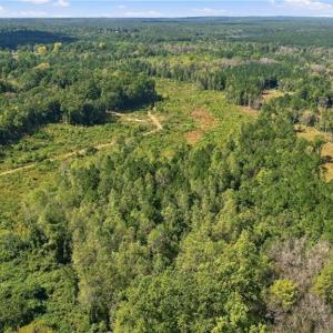 Photo #13 of Hill, Raeford, NC 55.3 acres
