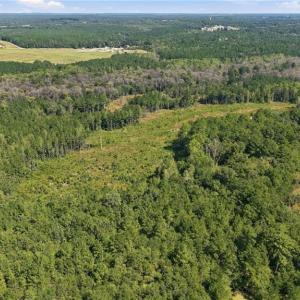 Photo #4 of Hill, Raeford, NC 55.3 acres
