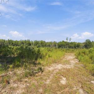 Photo #2 of Hill, Raeford, NC 55.3 acres
