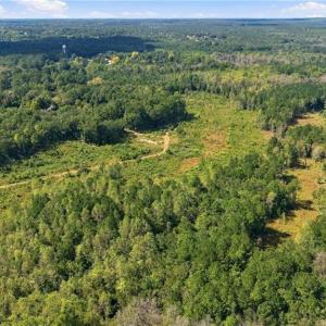 Photo #12 of Hill, Raeford, NC 55.3 acres