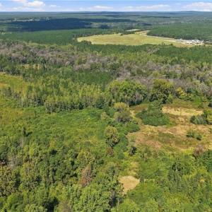 Photo #16 of Hill, Raeford, NC 55.3 acres