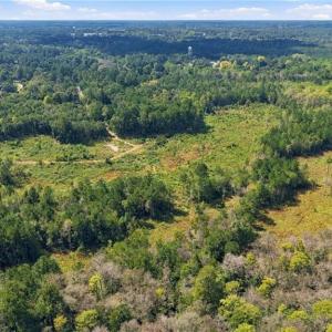 Photo #10 of Hill, Raeford, NC 55.3 acres