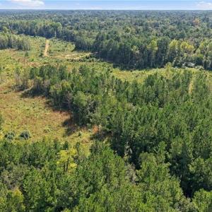 Photo #8 of Hill, Raeford, NC 55.3 acres