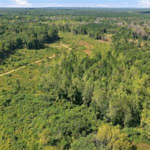 Photo #14 of Hill, Raeford, NC 55.3 acres