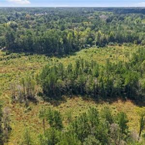 Photo #9 of Hill, Raeford, NC 55.3 acres