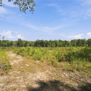 Photo #1 of Hill, Raeford, NC 55.3 acres