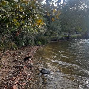 Photo #5 of 2013 Sandalwood, Sanford, NC 0.4 acres
