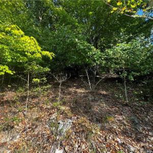 Photo #7 of 2013 Sandalwood, Sanford, NC 0.4 acres