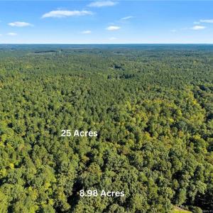 Photo #6 of Plank, Sanford, NC 9.0 acres