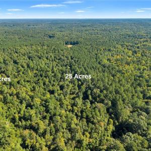 Photo #4 of Plank, Sanford, NC 9.0 acres