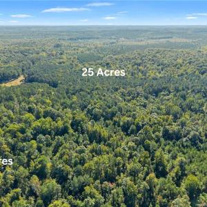 Photo #4 of Plank, Sanford, NC 25.0 acres