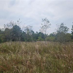 Photo #1 of Shannon, Shannon, NC 37.0 acres