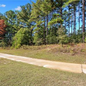 Photo #10 of 326 Micahs Way, Spring Lake, NC 0.4 acres