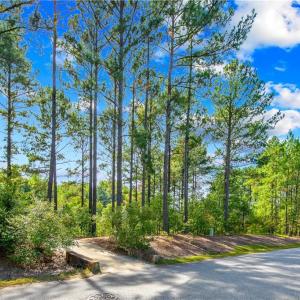 Photo #7 of 326 Micahs Way, Spring Lake, NC 0.4 acres