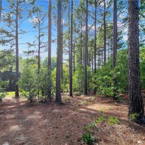 Photo #9 of 326 Micahs Way, Spring Lake, NC 0.4 acres
