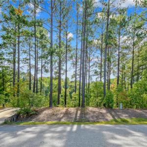 Photo #6 of 326 Micahs Way, Spring Lake, NC 0.4 acres