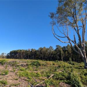 Photo #1 of 6635 Nc Highway 87, Fayetteville, NC 9.4 acres