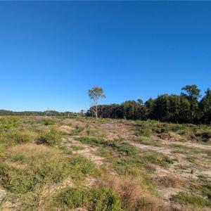 Photo #3 of 6635 Nc Highway 87, Fayetteville, NC 9.4 acres