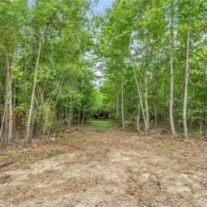 Photo #11 of Riverstead (Lot 2), Fayetteville, NC 16.4 acres