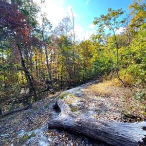 Photo #32 of CASTLETON VIEW ROAD, CASTLETON, VA 25.2 acres