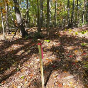 Photo #34 of CASTLETON VIEW ROAD, CASTLETON, VA 25.2 acres
