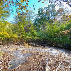 Photo #31 of CASTLETON VIEW ROAD, CASTLETON, VA 25.2 acres