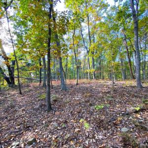 Photo #3 of CASTLETON VIEW ROAD, CASTLETON, VA 25.2 acres