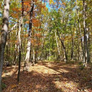 Photo #22 of CASTLETON VIEW ROAD, CASTLETON, VA 25.2 acres