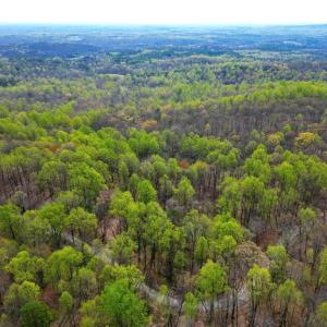 Photo #5 of CASTLETON VIEW ROAD, CASTLETON, VA 25.2 acres