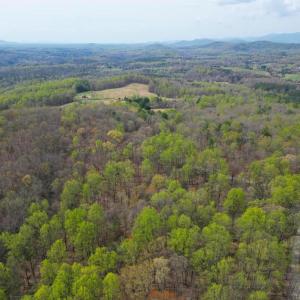 Photo #6 of CASTLETON VIEW ROAD, CASTLETON, VA 25.2 acres