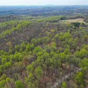 Photo #7 of CASTLETON VIEW ROAD, CASTLETON, VA 25.2 acres