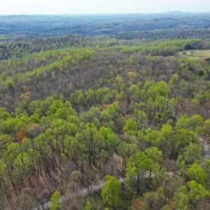 Photo #8 of CASTLETON VIEW ROAD, CASTLETON, VA 25.2 acres