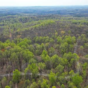 Photo #9 of CASTLETON VIEW ROAD, CASTLETON, VA 25.2 acres
