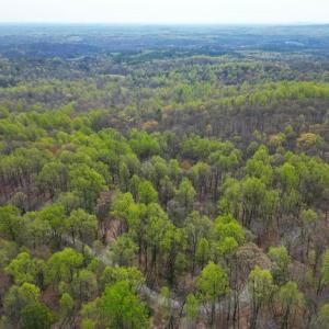 Photo #10 of CASTLETON VIEW ROAD, CASTLETON, VA 25.2 acres