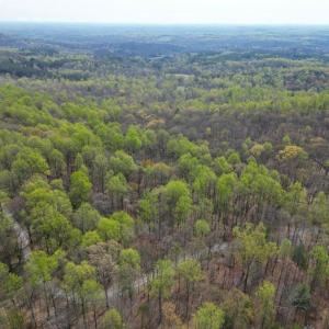 Photo #11 of CASTLETON VIEW ROAD, CASTLETON, VA 25.2 acres
