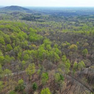 Photo #12 of CASTLETON VIEW ROAD, CASTLETON, VA 25.2 acres