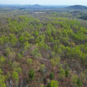 Photo #13 of CASTLETON VIEW ROAD, CASTLETON, VA 25.2 acres