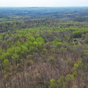 Photo #35 of CASTLETON VIEW ROAD, CASTLETON, VA 25.2 acres