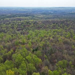 Photo #36 of CASTLETON VIEW ROAD, CASTLETON, VA 25.2 acres