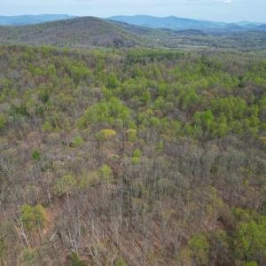 Photo #37 of CASTLETON VIEW ROAD, CASTLETON, VA 25.2 acres