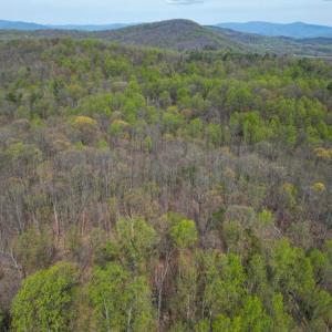 Photo #38 of CASTLETON VIEW ROAD, CASTLETON, VA 25.2 acres