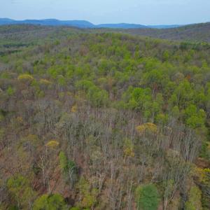 Photo #39 of CASTLETON VIEW ROAD, CASTLETON, VA 25.2 acres