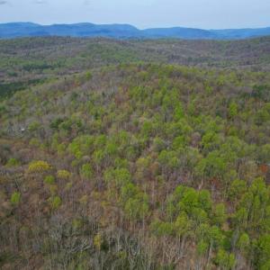 Photo #40 of CASTLETON VIEW ROAD, CASTLETON, VA 25.2 acres
