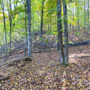 Photo #22 of CASTLETON VIEW ROAD, CASTLETON, VA 25.2 acres