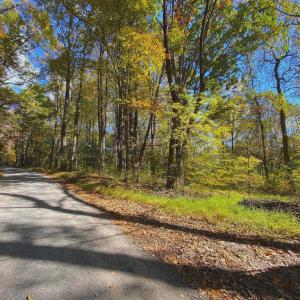 Photo #11 of CASTLETON VIEW ROAD, CASTLETON, VA 25.2 acres