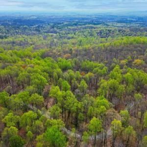 Photo #35 of CASTLETON VIEW ROAD, CASTLETON, VA 25.2 acres