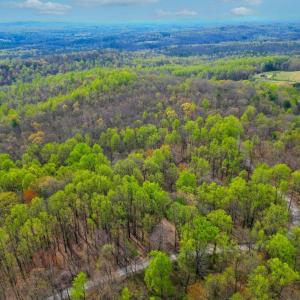 Photo #36 of CASTLETON VIEW ROAD, CASTLETON, VA 25.2 acres
